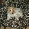 luisa.picheo2