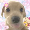 clau.monty