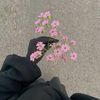 sihem_5691