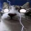 lightningcatv