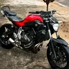 gui_gui_777