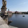 anna.luczynska