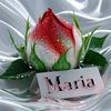 mariatigse36