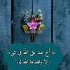 soumia0408