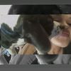 domimedicen_16