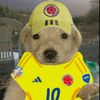 cami_kny2