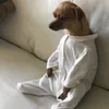 thphuongtr_