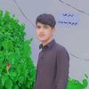 naveed.ali.gopang6