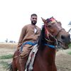 user660850