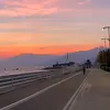 toby_4375
