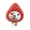 putrisukapink01