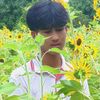 shinelay8854