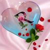 noor.faraz45