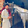 ali_gujjar_6762