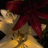 nico_leta_013