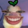 whos_4r1