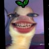 nitzzy6