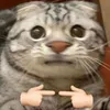 meowmeo106