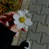 razaw.sh