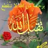 aboahmed3561