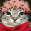 miaujiitadori