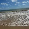 gbz_ddf