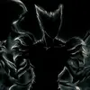 garou_c0dm