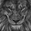 _...abdullah..._