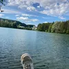 sarah_stuttgart