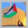 shahdkhater411