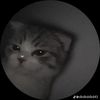 ticwihzofficial