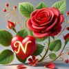 naima.emhimed