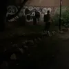 albi_1272