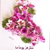 musa.ali5996
