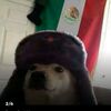 ian.morales.el.ma