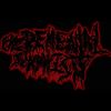 EXCREMENTAL SCAPHISM
