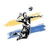 onlyvolleyball13