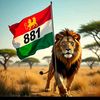 zahirkhan_881