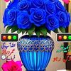 tanvirider0