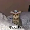 cyphercat6
