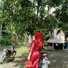 alfa.sabil