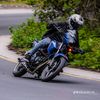 shahsatar1