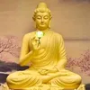 phong.nguyen3291