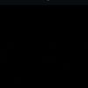 fankar_ssp_313