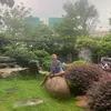 tinhhuong9195