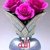 jutt.8952