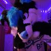 skeeballtheweatherdog