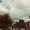 anishtamang0122