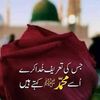 kamran.kashi4