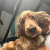 noahk8231